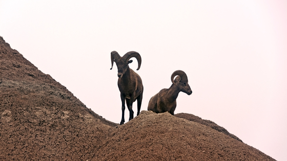 Badlands National Park 