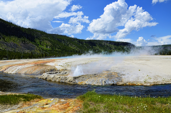 Yellowstone NP