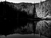 Mt. Hood National Forest