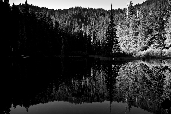Mt. Hood National Forest