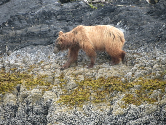 Glacier Bay National Park