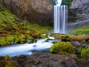 Mount Hood National Forest