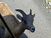 HANGING OUT ON THE ROAD