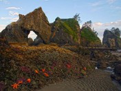 Olympic National Park