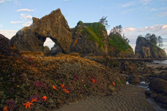 Olympic National Park