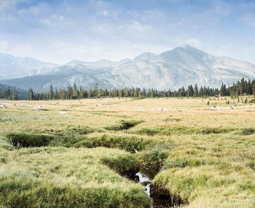Yosemite National Park