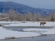 Grand Teton National Park