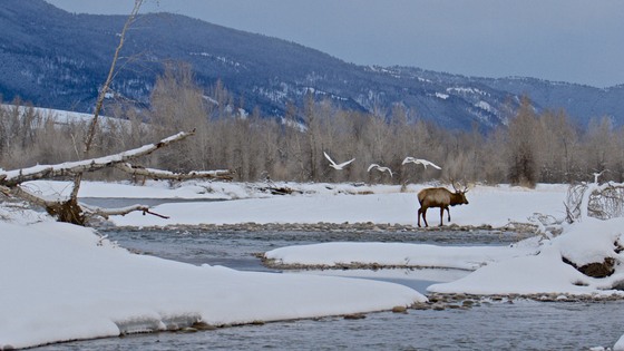 Grand Teton National Park