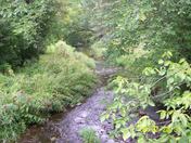 Pallisar creek Foxboro Ontario