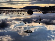 Big Bear Lake