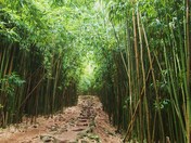 Haleakala National Park