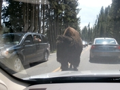Going from Yellowstone to W. Yellowstone