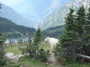 GLACIER NATIONAL PARK