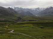 Denali National Park