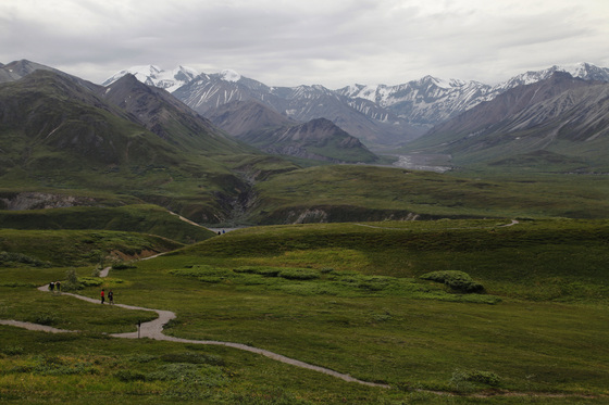 Denali National Park