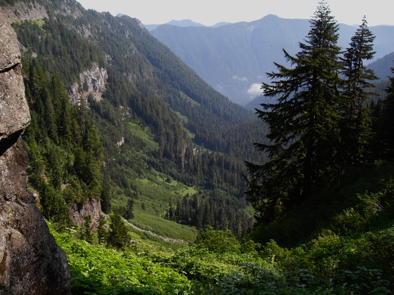 Mt. Rainier National Park
