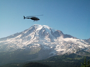Mt. Rainier National Park