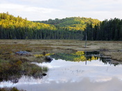 Last Light On Opeongo Road.