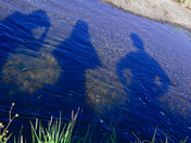 yellowstone