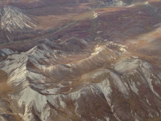Denali National Park