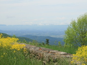 Shenandoah National Park