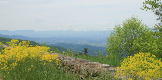 Shenandoah National Park