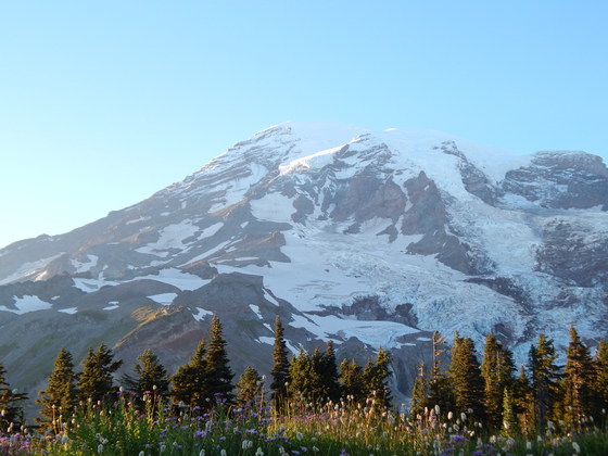Mount Rainier National Park