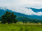 Great Smoky Mountains National Park