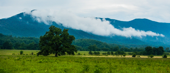 Great Smoky Mountains National Park