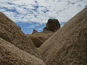 Joshua Tree National Park