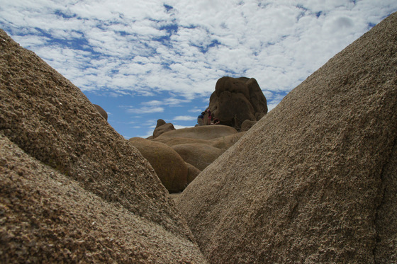Joshua Tree National Park