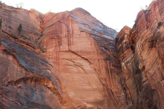 Zion National Park