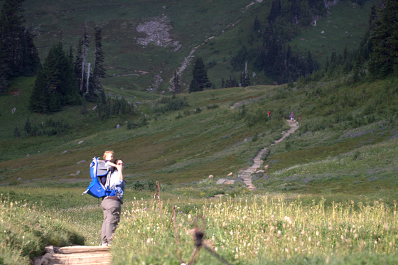 Mount Rainier NP