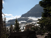 Glacier National Park