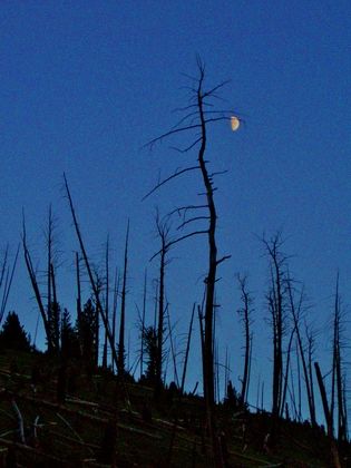 Yellowstone National Park