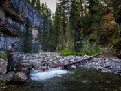 Yellowstone National Rark
