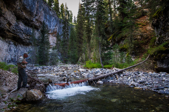 Yellowstone National Rark