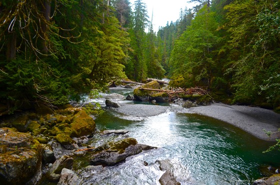 Olympic National Park