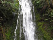 Olympic National Park