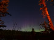 Big Dipper & Northern Lights