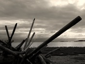 No Guns Allowed Here