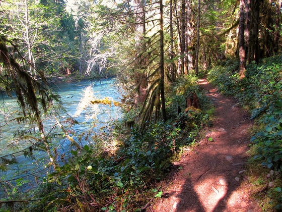 Willamette National Forest