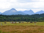 Glacier National Park