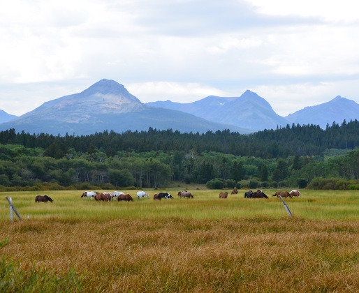 Glacier National Park