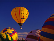 Sussex balloon festival