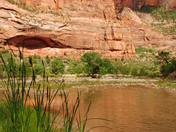 Zion National Park