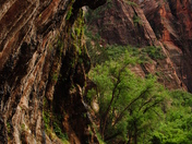 Zion National Park
