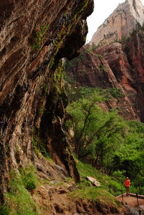 Zion National Park