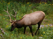 Rocky Mountain National Park
