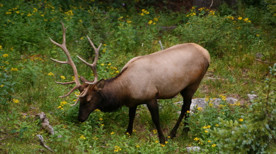 Rocky Mountain National Park
